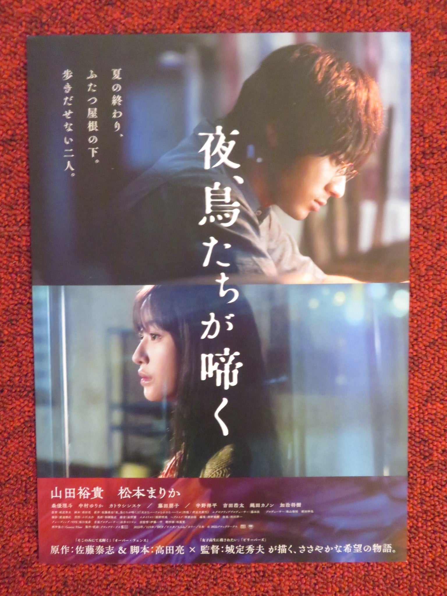 YORU TORITACHIGA NAKU JAPANESE CHIRASHI (B5) POSTER SHINSUKE KATO MATSUMO 2022 Rendezvous Cinema Movie posters