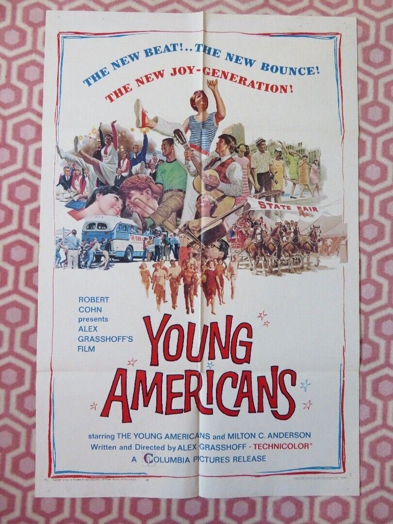 YOUNG AMERICANS FOLDED US ONE SHEET POSTER MILTON ANDERSON 1967 Movie posters