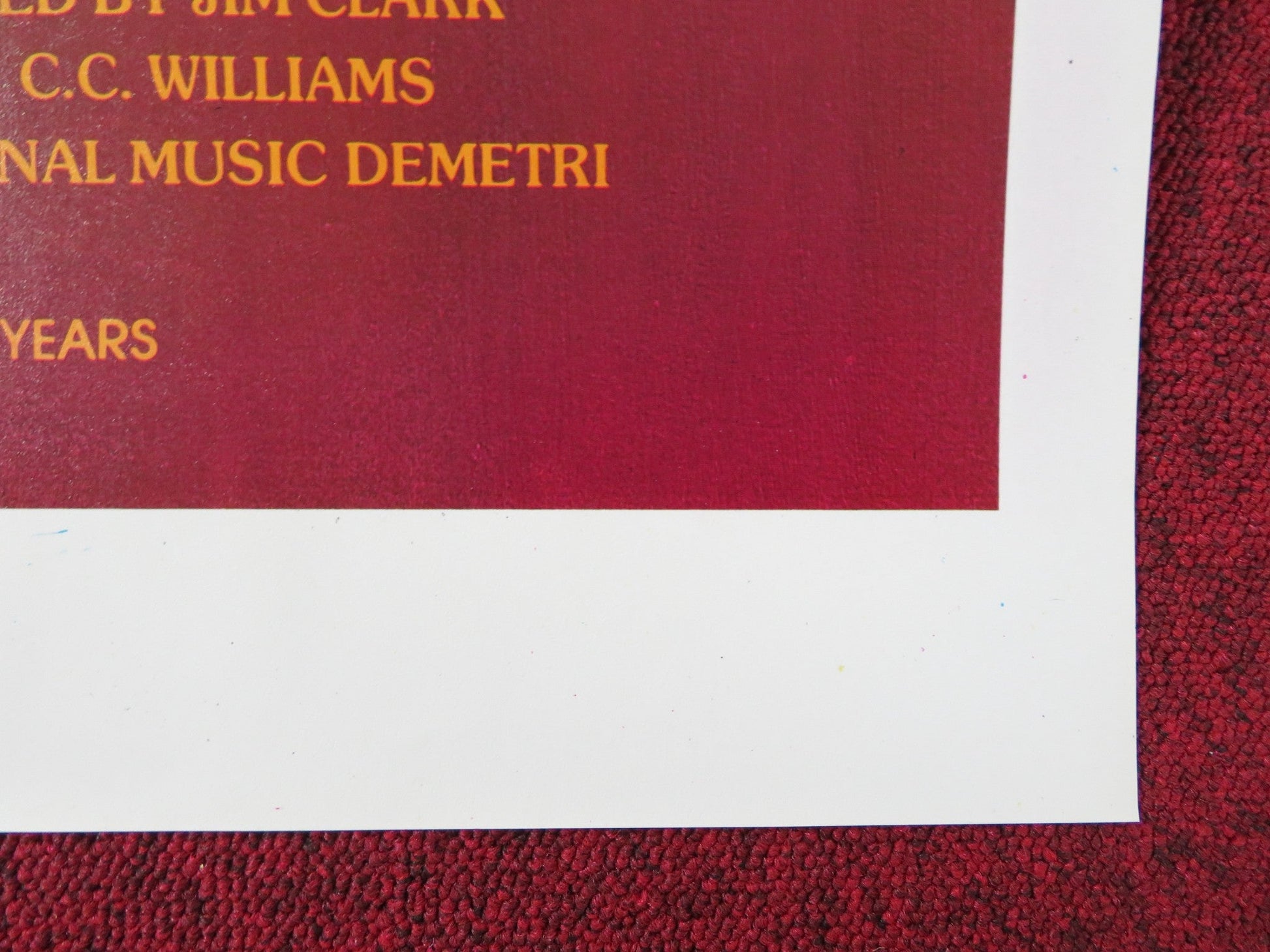 YOUNG WILD AND WONDERFUL US TRI FOLDED ONE SHEET ROLLED POSTER ARCADIA LAKE 1980 Rendezvous Cinema Movie posters