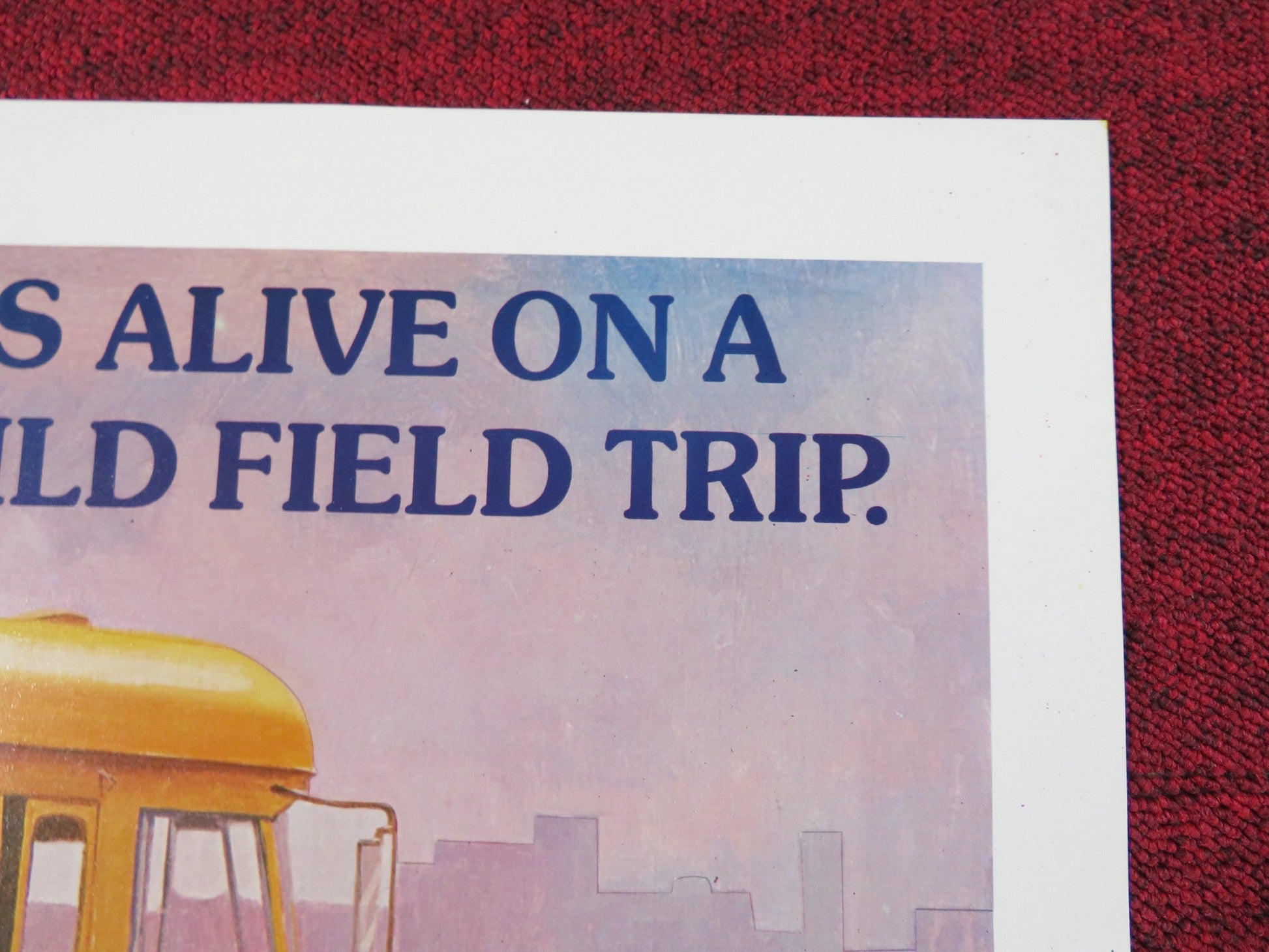 YOUNG WILD AND WONDERFUL US TRI FOLDED ONE SHEET ROLLED POSTER ARCADIA LAKE 1980 Rendezvous Cinema Movie posters