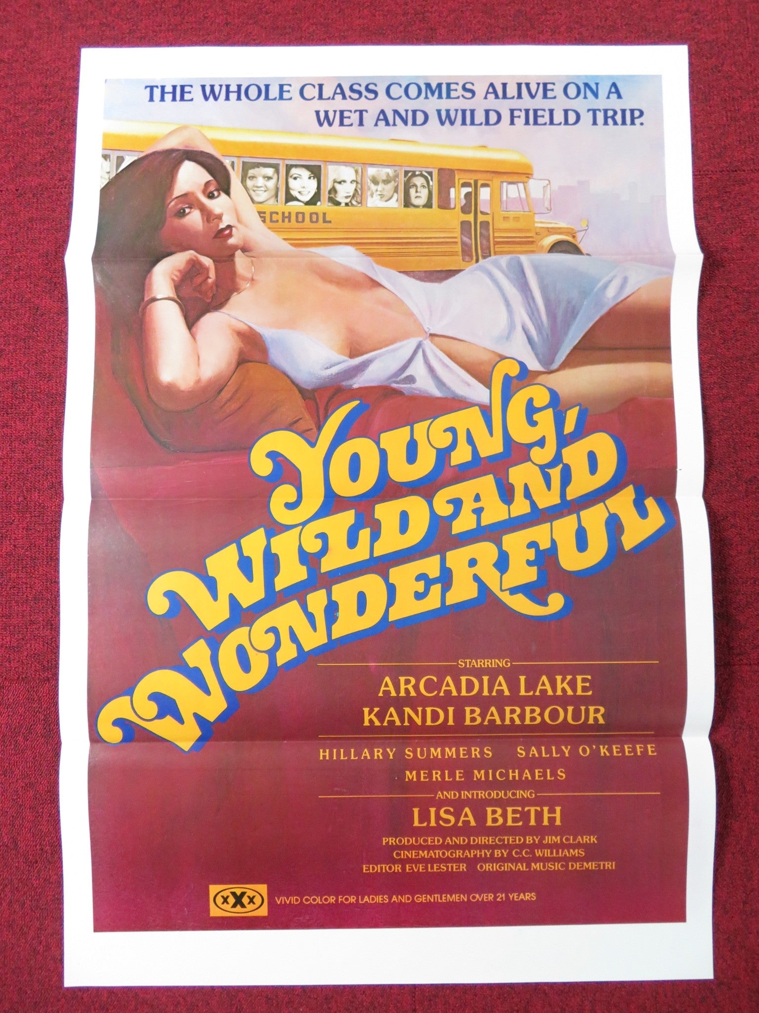YOUNG WILD AND WONDERFUL US TRI FOLDED ONE SHEET ROLLED POSTER ARCADIA LAKE 1980 Rendezvous Cinema Movie posters