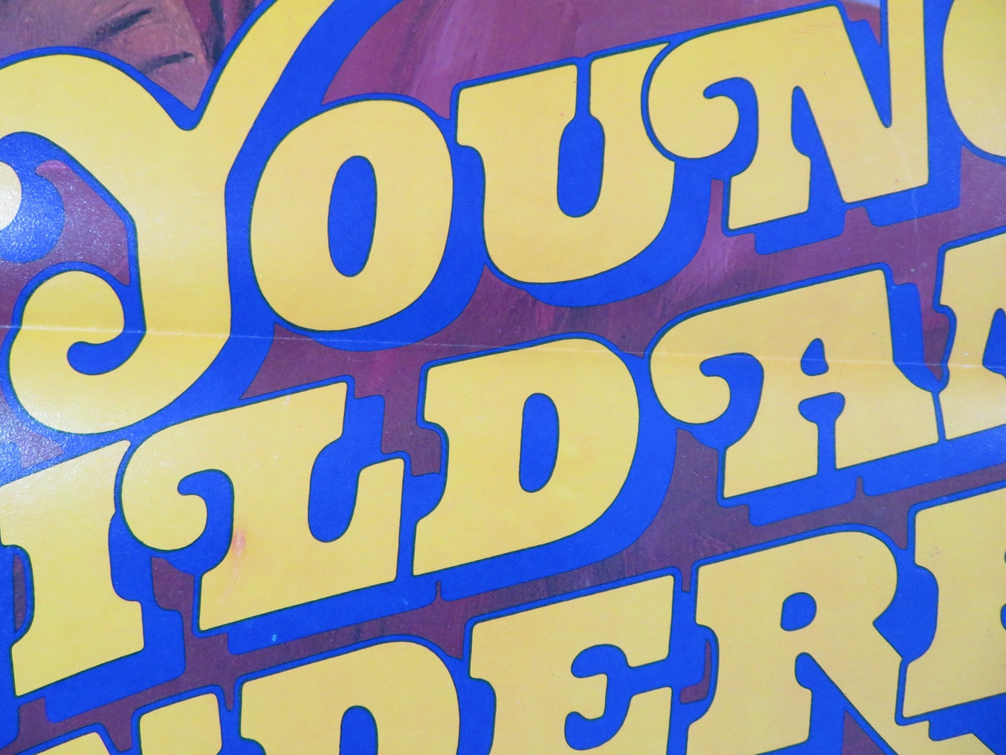 YOUNG WILD AND WONDERFUL US TRI FOLDED ONE SHEET ROLLED POSTER ARCADIA LAKE 1980 Rendezvous Cinema Movie posters