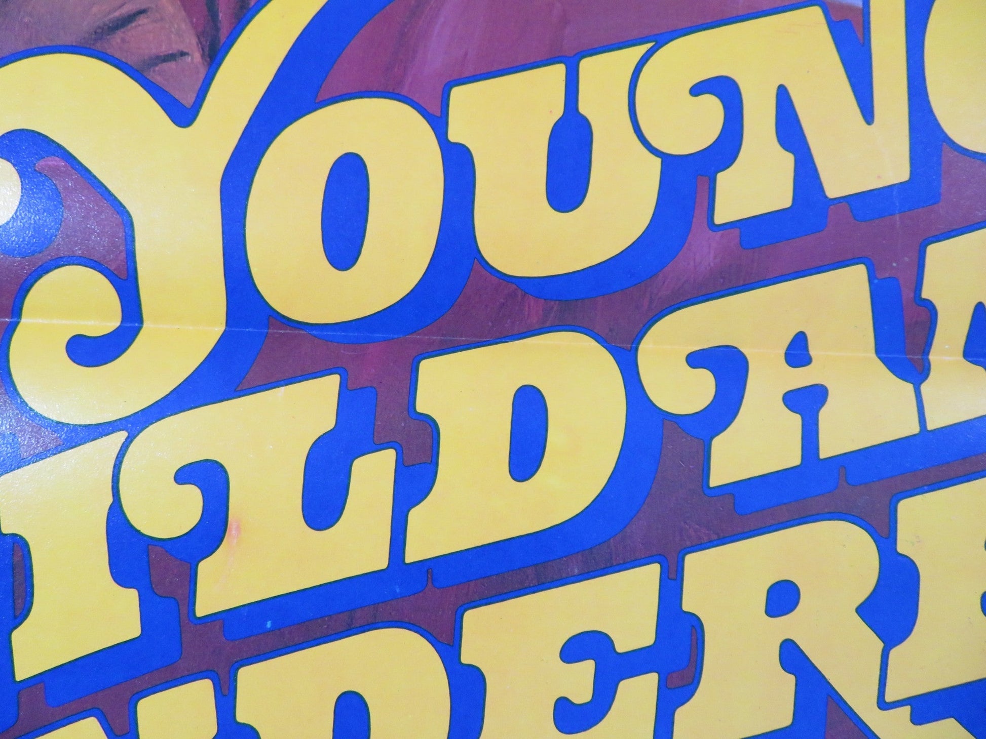 YOUNG WILD AND WONDERFUL US TRI FOLDED ONE SHEET ROLLED POSTER ARCADIA LAKE 1980 Rendezvous Cinema Movie posters