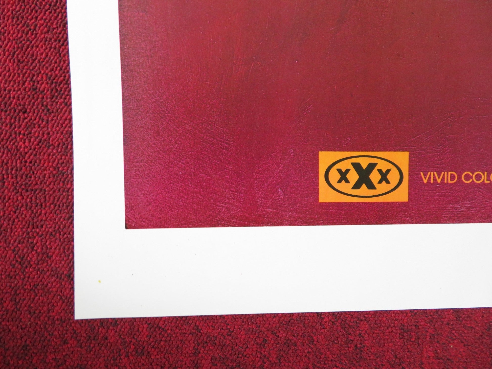 YOUNG WILD AND WONDERFUL US TRI FOLDED ONE SHEET ROLLED POSTER ARCADIA LAKE 1980 Rendezvous Cinema Movie posters