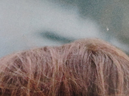 YOUR SISTER'S SISTER UK QUAD (30"x 40") ROLLED POSTER EMILY BLUNT 2011 Rendezvous Cinema Movie posters