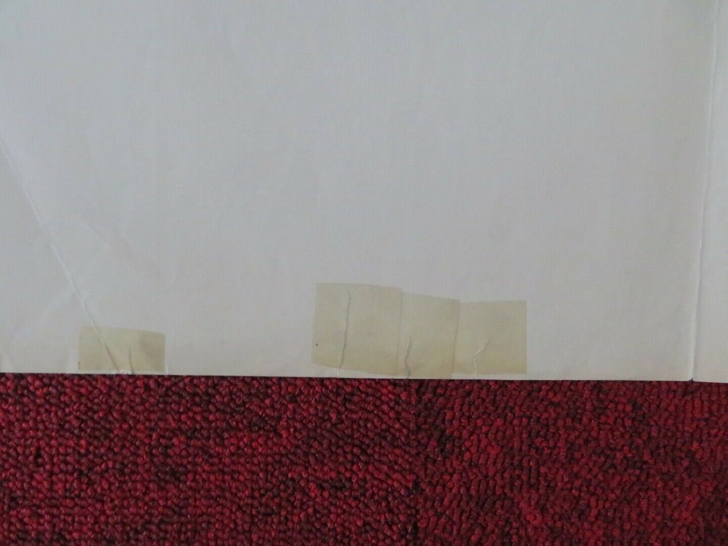 ZANNA BIANCA / WHITE FANG - B ITALIAN FOTOBUSTA POSTER LUCIO FULCI FRANCO NERO Movie posters