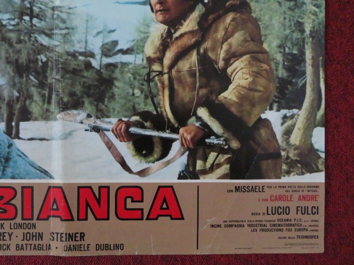ZANNA BIANCA / WHITE FANG - B ITALIAN FOTOBUSTA POSTER LUCIO FULCI FRANCO NERO Movie posters