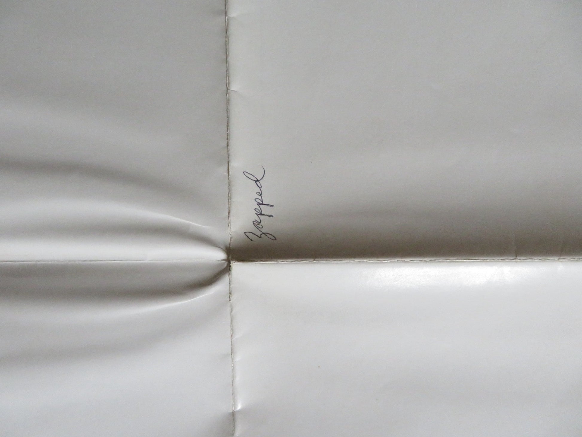 ZAPPED! FOLDED US ONE SHEET POSTER SCOTT BAIO WILLIE AAMES 1982 Rendezvous Cinema Movie posters