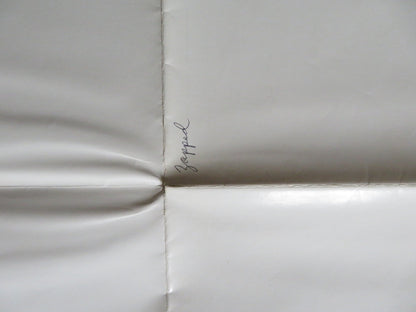 ZAPPED! FOLDED US ONE SHEET POSTER SCOTT BAIO WILLIE AAMES 1982 Rendezvous Cinema Movie posters