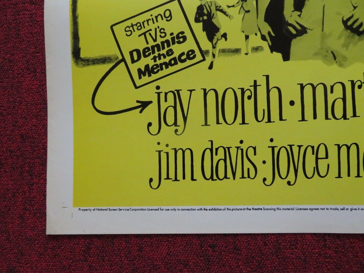 ZEBRA IN THE KITCHEN US ONE SHEET POSTER JAY NORTH MARTIN MILNER 1972 - Rendezvous Cinema