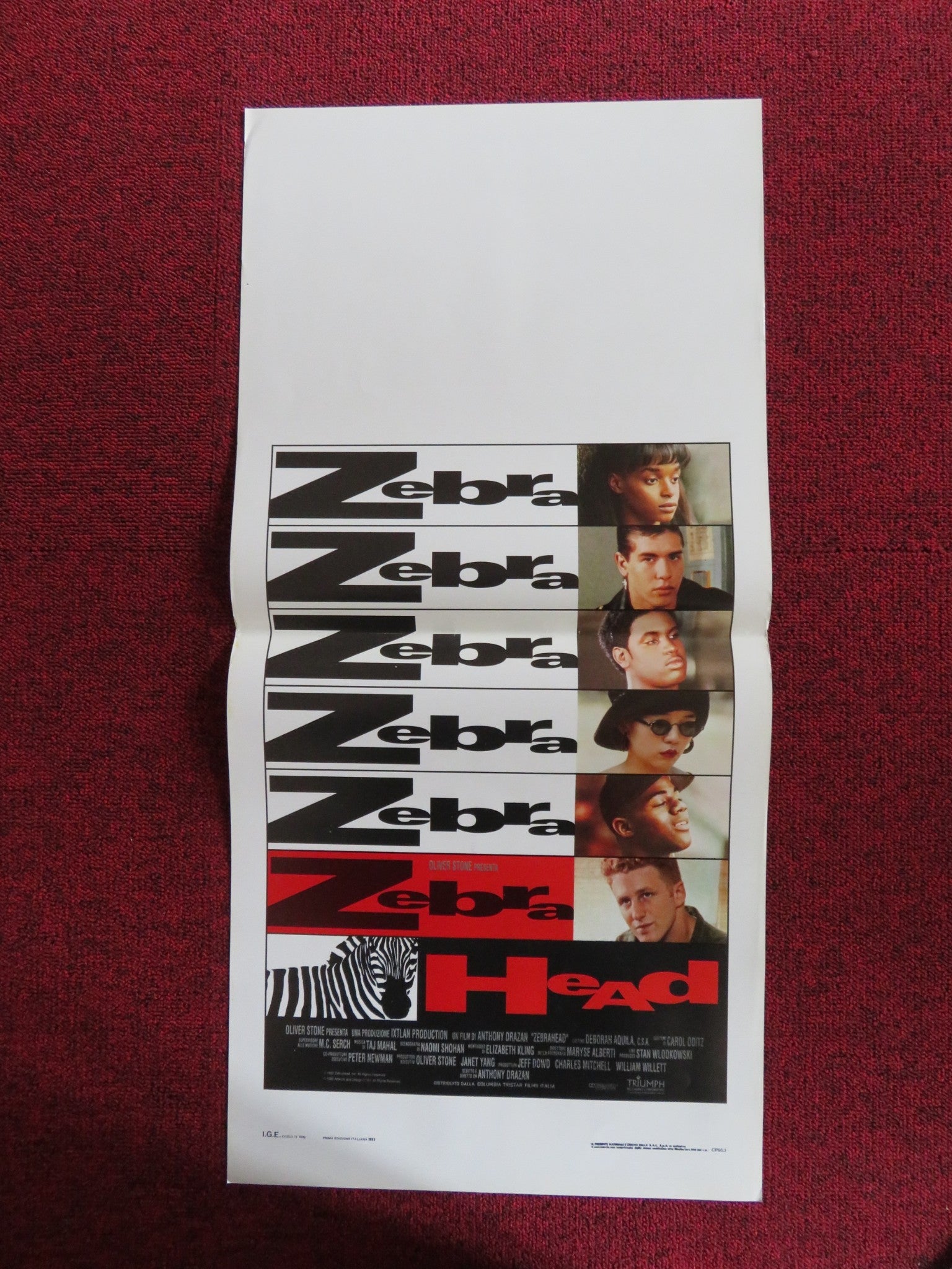 ZEBRAHEAD ITALIAN LOCANDINA POSTER MICHAEL RAPAPORT KEVIN CORRIGAN 1993 Rendezvous Cinema Movie posters