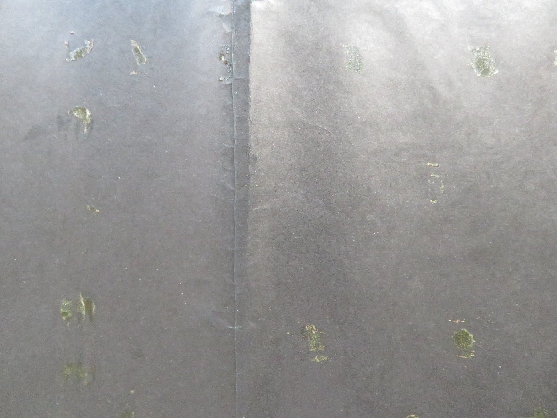 ZELIG UK QUAD (30"x 40") ROLLED POSTER WOODY ALLEN MIA FARROW 1983 Rendezvous Cinema Movie posters