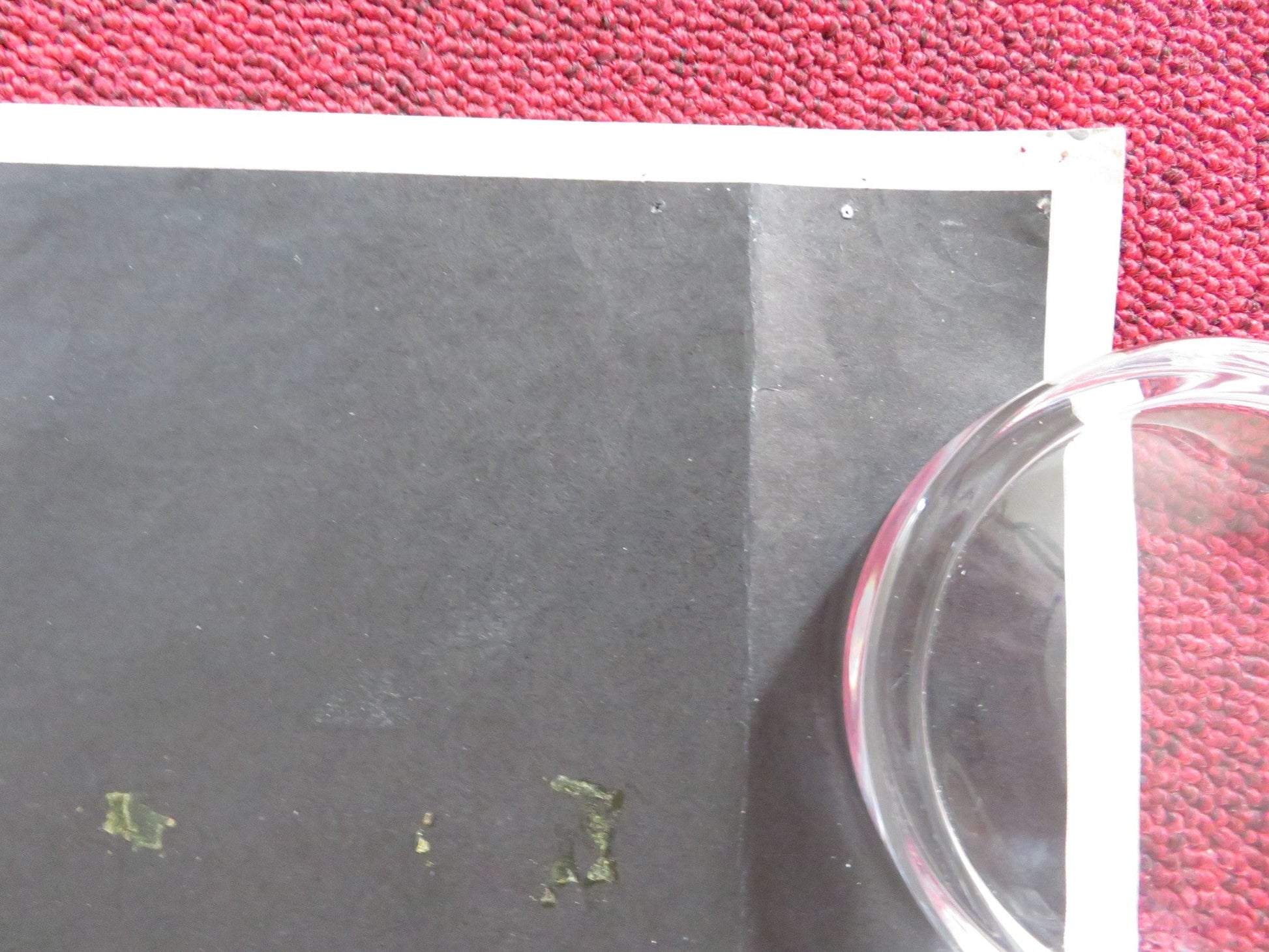 ZELIG UK QUAD (30"x 40") ROLLED POSTER WOODY ALLEN MIA FARROW 1983 Rendezvous Cinema Movie posters