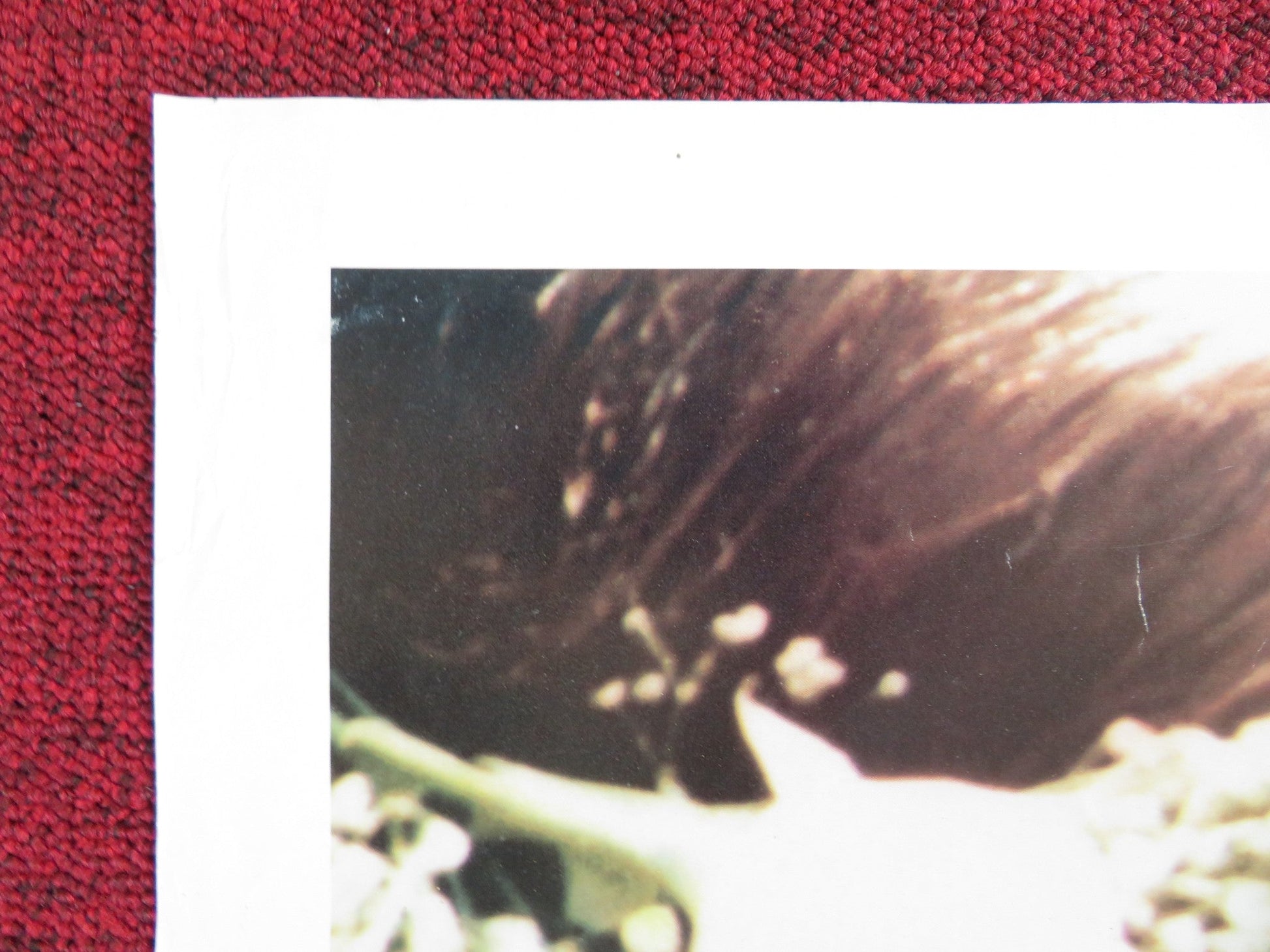 ZELLY & ME FOLDED US ONE SHEET POSTER ISABELLA ROSSELLINI DAVID LYNCH 1988 Rendezvous Cinema Movie posters