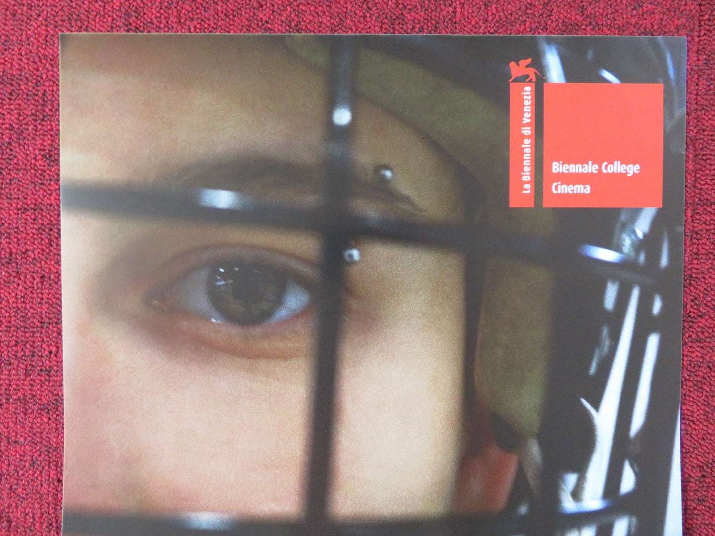 ZEN SUL GHIACCIO SOTTILE ITALIAN LOCANDINA POSTER ELEONORA CONTI 2018 Rendezvous Cinema Movie posters