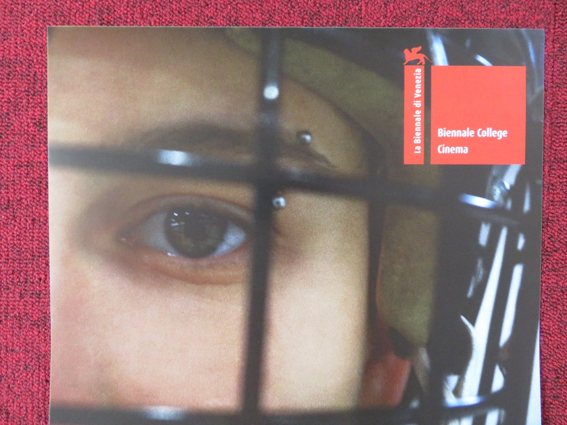 ZEN SUL GHIACCIO SOTTILE ITALIAN LOCANDINA POSTER ELEONORA CONTI 2018 Rendezvous Cinema Movie posters