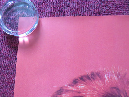 ZIGGY STARDUST AND THE SPIDERS FROM MARS UK QUAD (30"x 40") ROLLED POSTER R2023 Rendezvous Cinema Movie posters