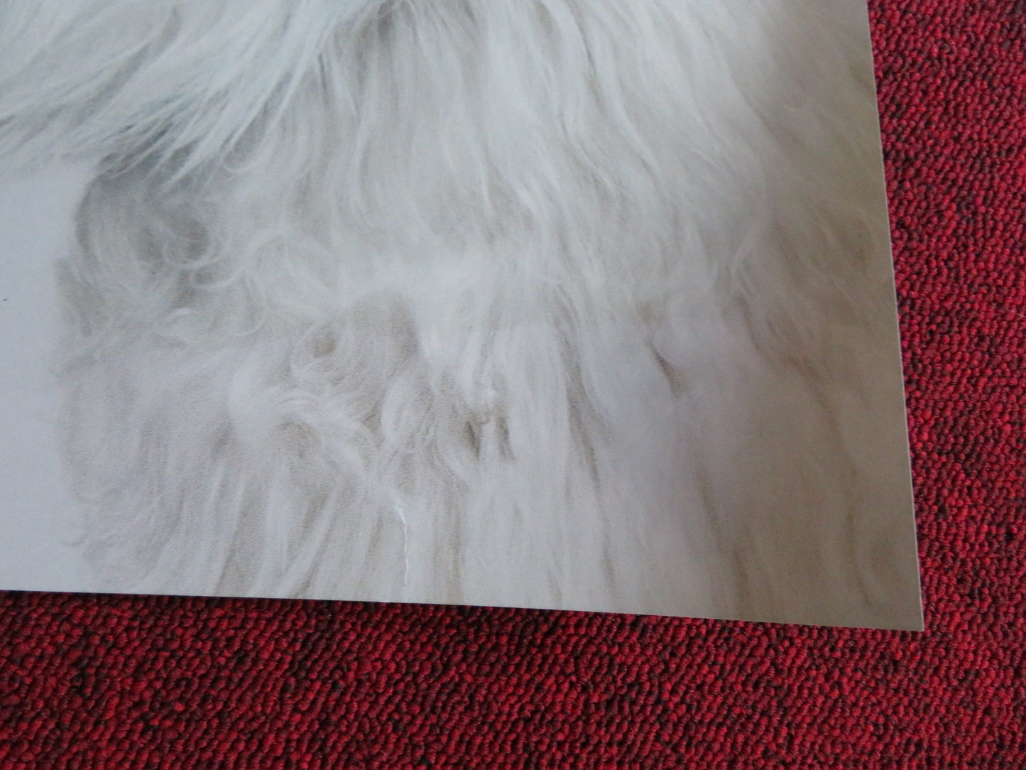 ZOOLANDER 2 UK QUAD (30"x 40") ROLLED POSTER BEN STILLER PENELOPE CRUZ 2016 Rendezvous Cinema Movie posters