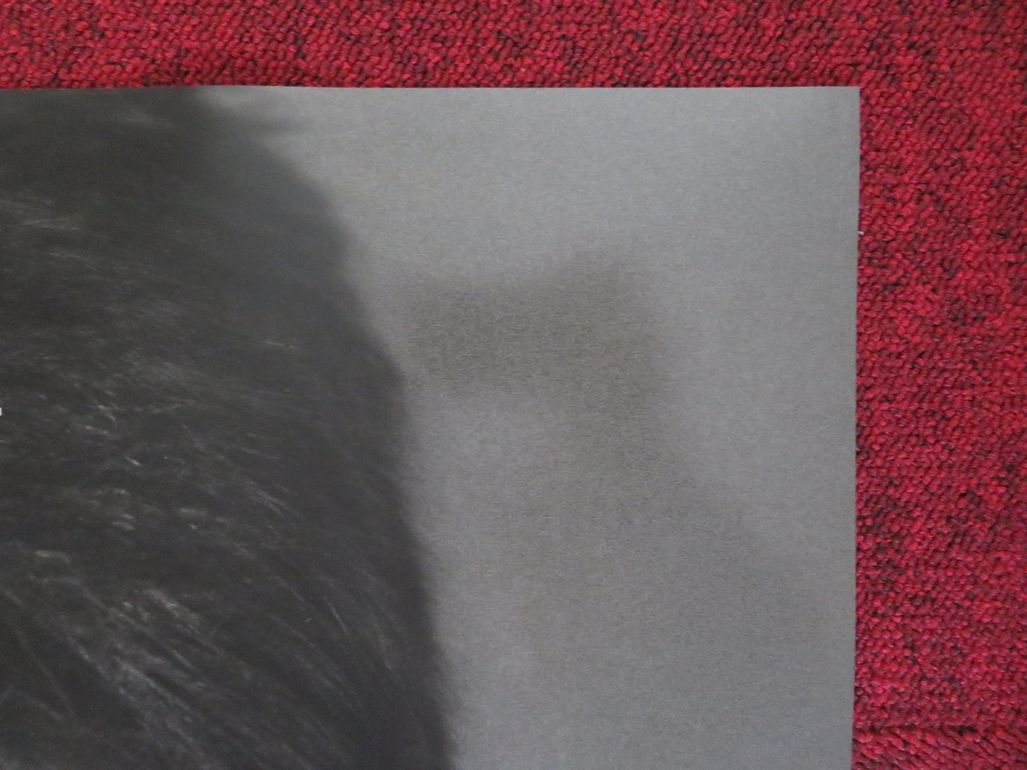 ZOOLANDER 2 US ONE SHEET ROLLED POSTER BEN STILLER 2016 Rendezvous Cinema Movie posters